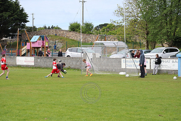 FÉILE PEILE GAEL LINN