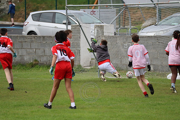 FÉILE PEILE GAEL LINN