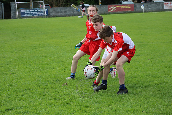 FÉILE PEILE GAEL LINN