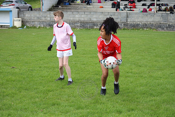 FÉILE PEILE GAEL LINN