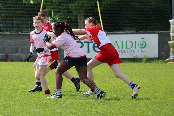 FÉILE PEILE GAEL LINN