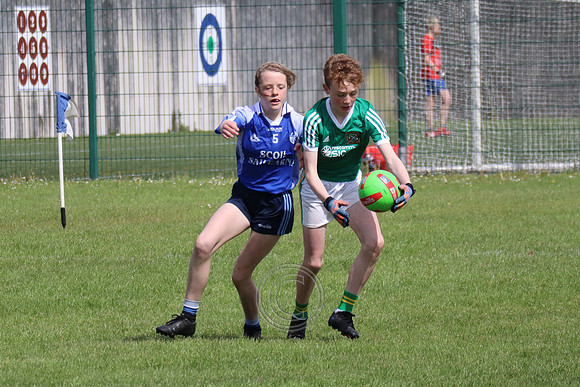 FÉILE PEILE GAEL LINN