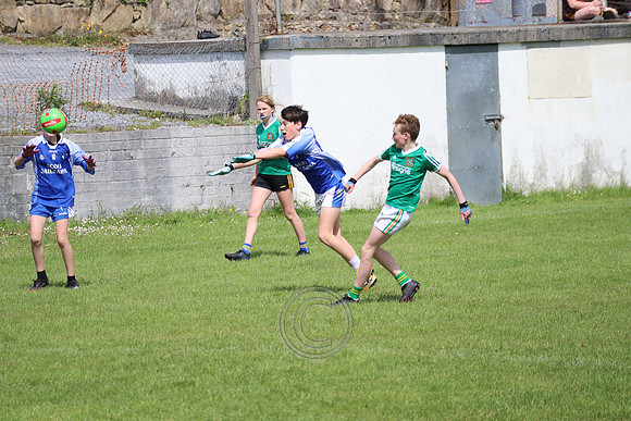 FÉILE PEILE GAEL LINN