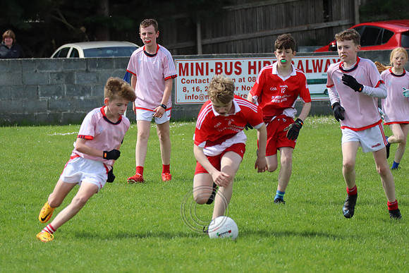 FÉILE PEILE GAEL LINN