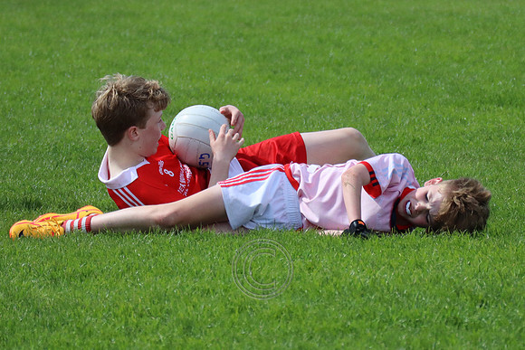 FÉILE PEILE GAEL LINN
