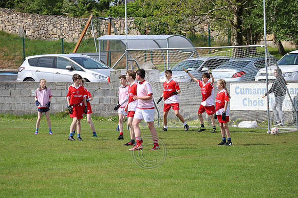 FÉILE PEILE GAEL LINN