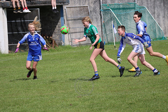 FÉILE PEILE GAEL LINN