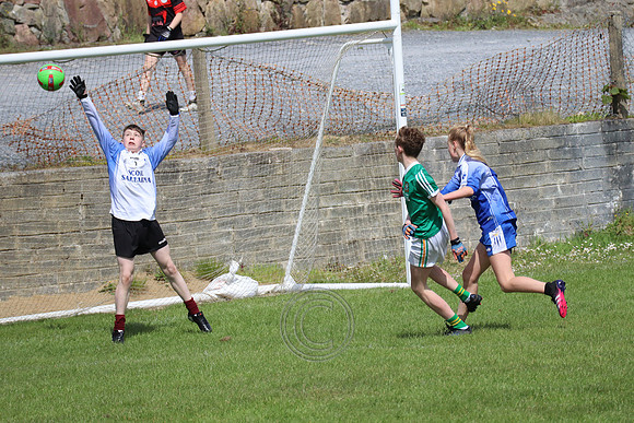 FÉILE PEILE GAEL LINN