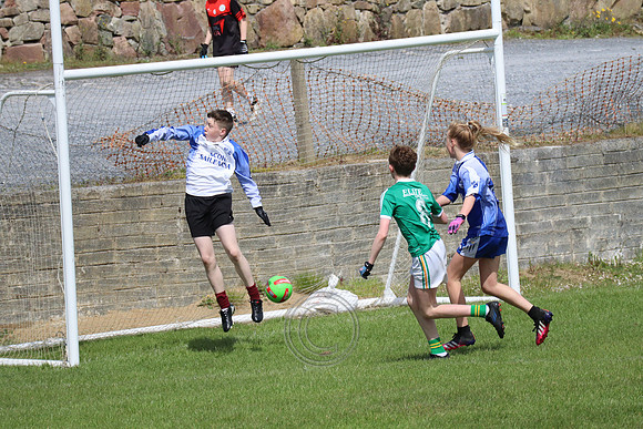 FÉILE PEILE GAEL LINN