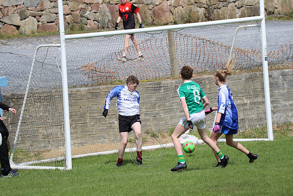 FÉILE PEILE GAEL LINN