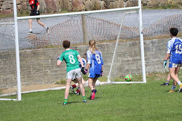 FÉILE PEILE GAEL LINN