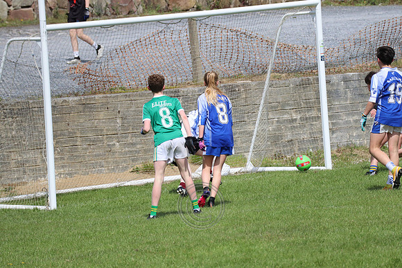 FÉILE PEILE GAEL LINN
