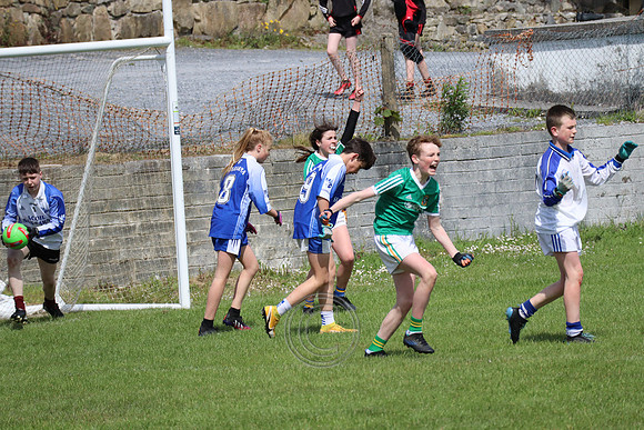 FÉILE PEILE GAEL LINN
