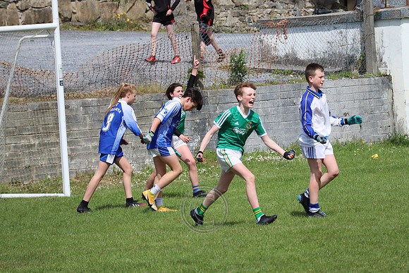 FÉILE PEILE GAEL LINN