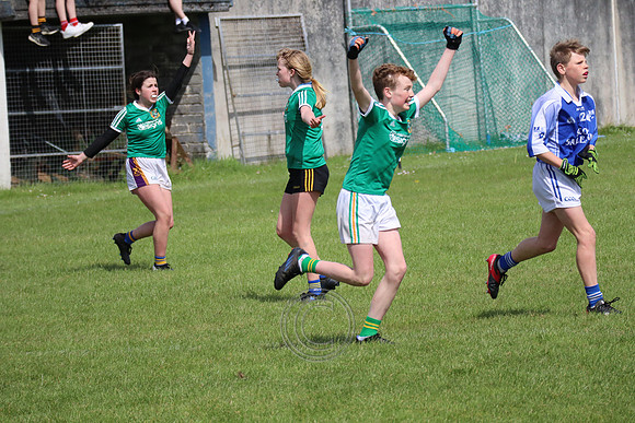 FÉILE PEILE GAEL LINN