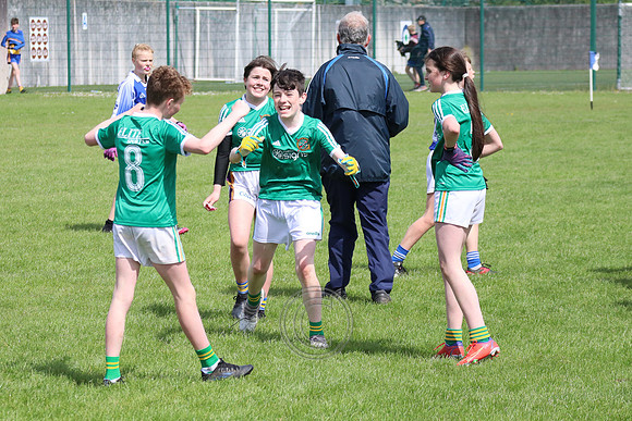 FÉILE PEILE GAEL LINN