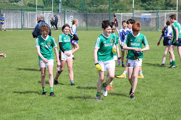 FÉILE PEILE GAEL LINN
