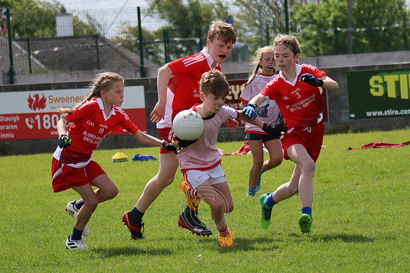 FÉILE PEILE GAEL LINN