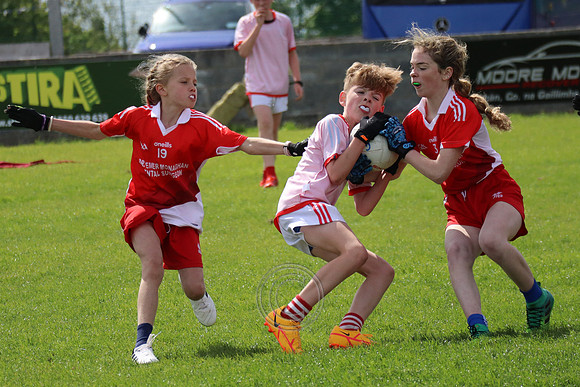 FÉILE PEILE GAEL LINN