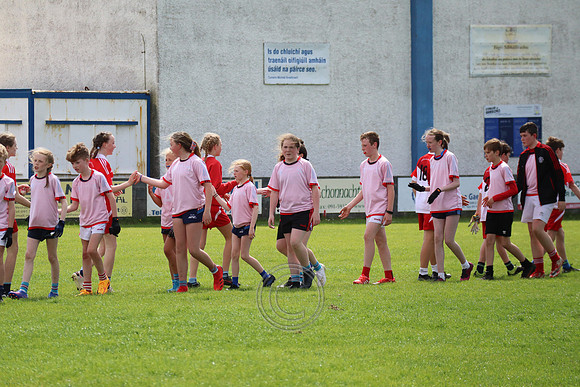 FÉILE PEILE GAEL LINN