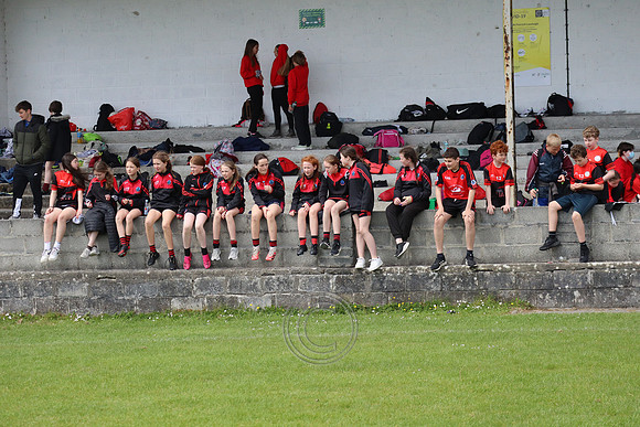 FÉILE PEILE GAEL LINN