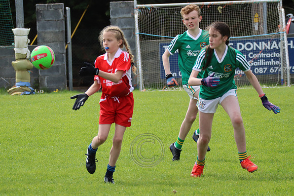 FÉILE PEILE GAEL LINN