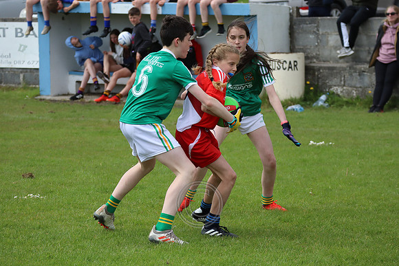 FÉILE PEILE GAEL LINN