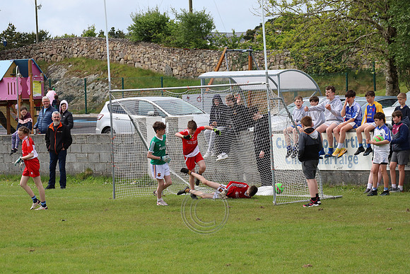 FÉILE PEILE GAEL LINN