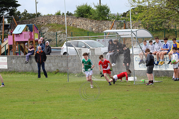 FÉILE PEILE GAEL LINN