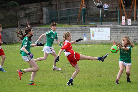 FÉILE PEILE GAEL LINN