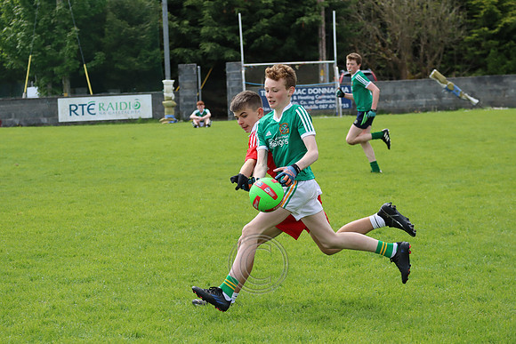 FÉILE PEILE GAEL LINN