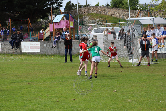 FÉILE PEILE GAEL LINN