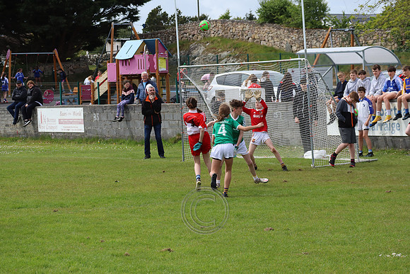 FÉILE PEILE GAEL LINN