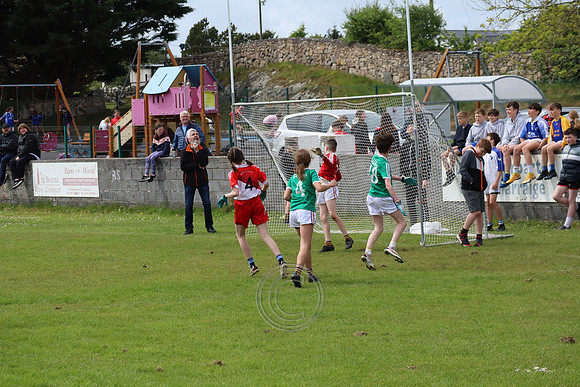 FÉILE PEILE GAEL LINN