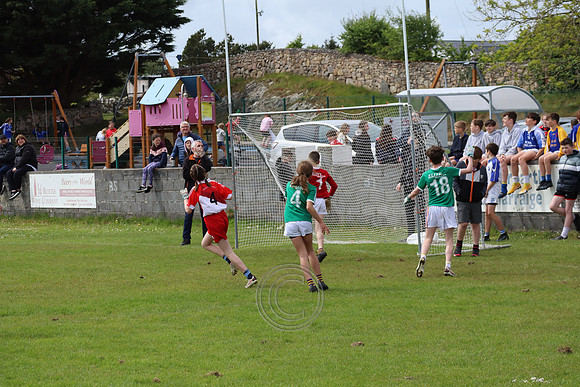 FÉILE PEILE GAEL LINN