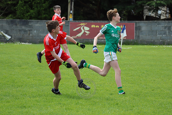 FÉILE PEILE GAEL LINN