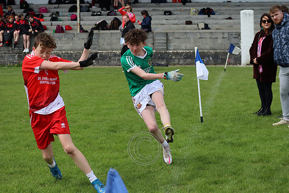FÉILE PEILE GAEL LINN