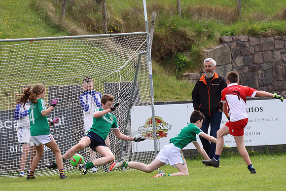 FÉILE PEILE GAEL LINN