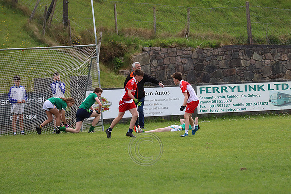 FÉILE PEILE GAEL LINN