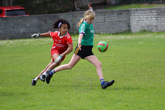 FÉILE PEILE GAEL LINN