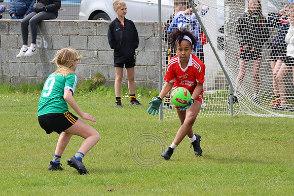 FÉILE PEILE GAEL LINN