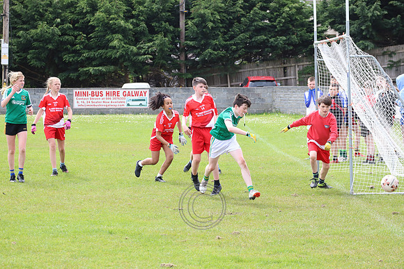 FÉILE PEILE GAEL LINN