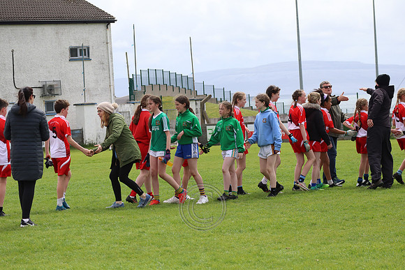 FÉILE PEILE GAEL LINN