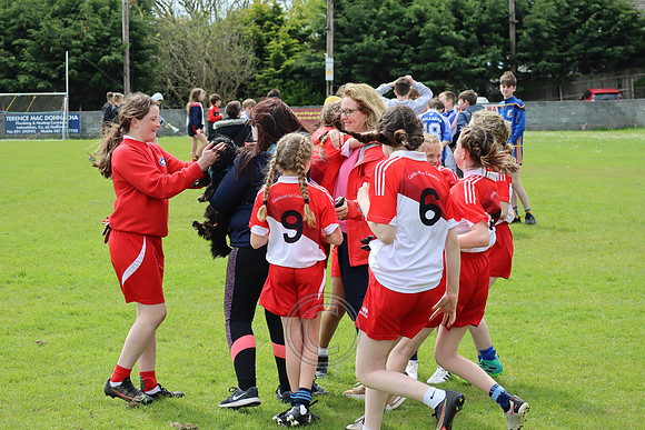 FÉILE PEILE GAEL LINN