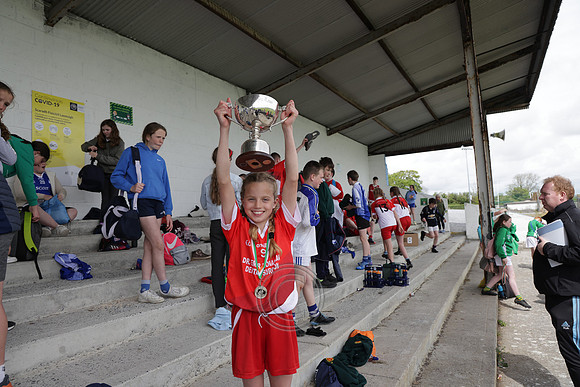 FÉILE PEILE GAEL LINN