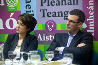 ACADAMH MEÁIN 2013-3573