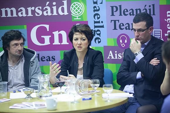 ACADAMH MEÁIN 2013-3584