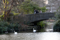 STEPHENS GREEN 2023-17