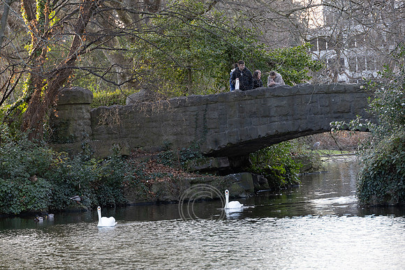 STEPHENS GREEN 2023-17