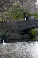 STEPHENS GREEN 2023-18